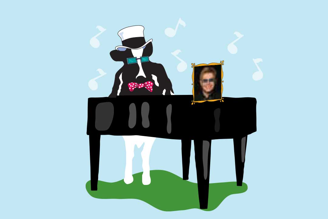 Woodie la vaca con un piano y una foto de Elton John