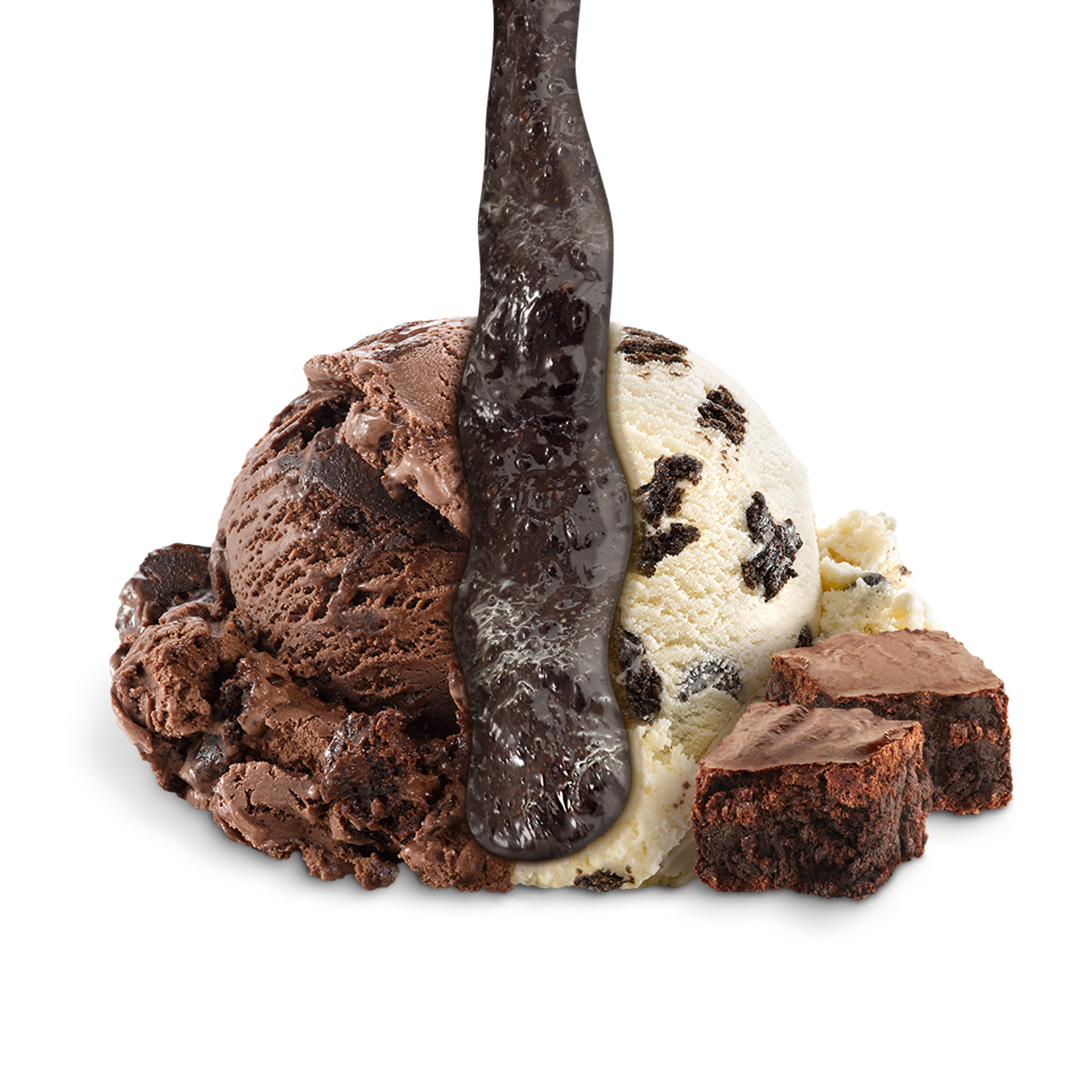 image-from-the-document-manager